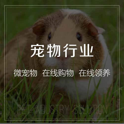 青岛宠物