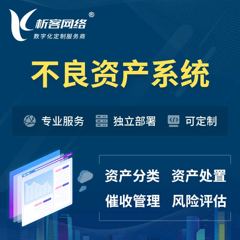 青岛不良资产管理系统