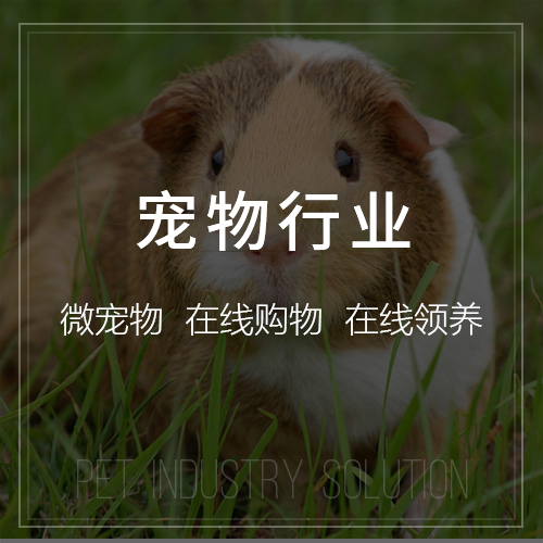青岛政府网站定制如何提升政务公开透明度